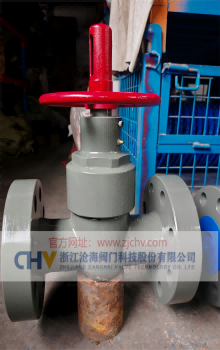 ZQ49H-250-DN65油田高壓井口閘閥